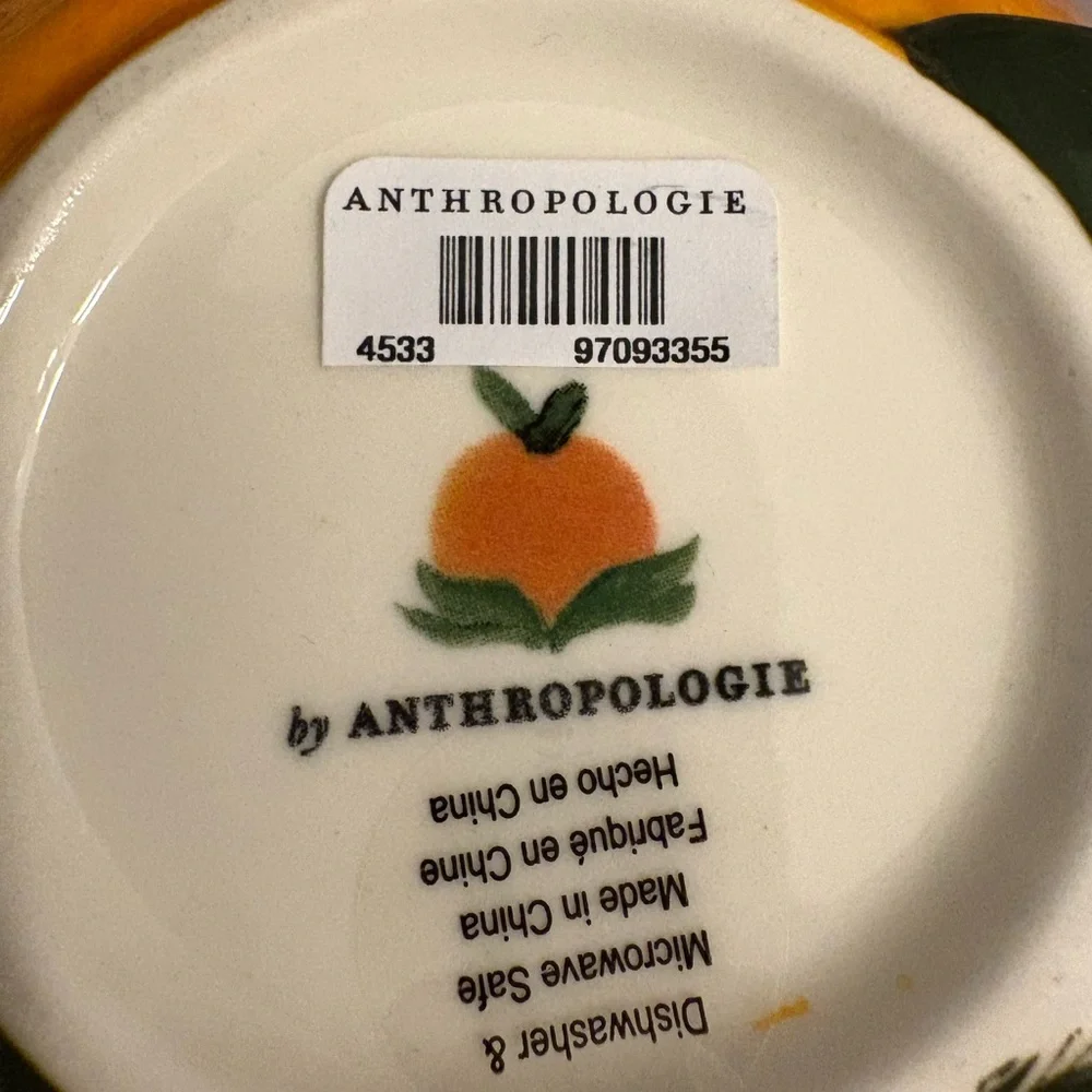 Anthropologie reposhing this